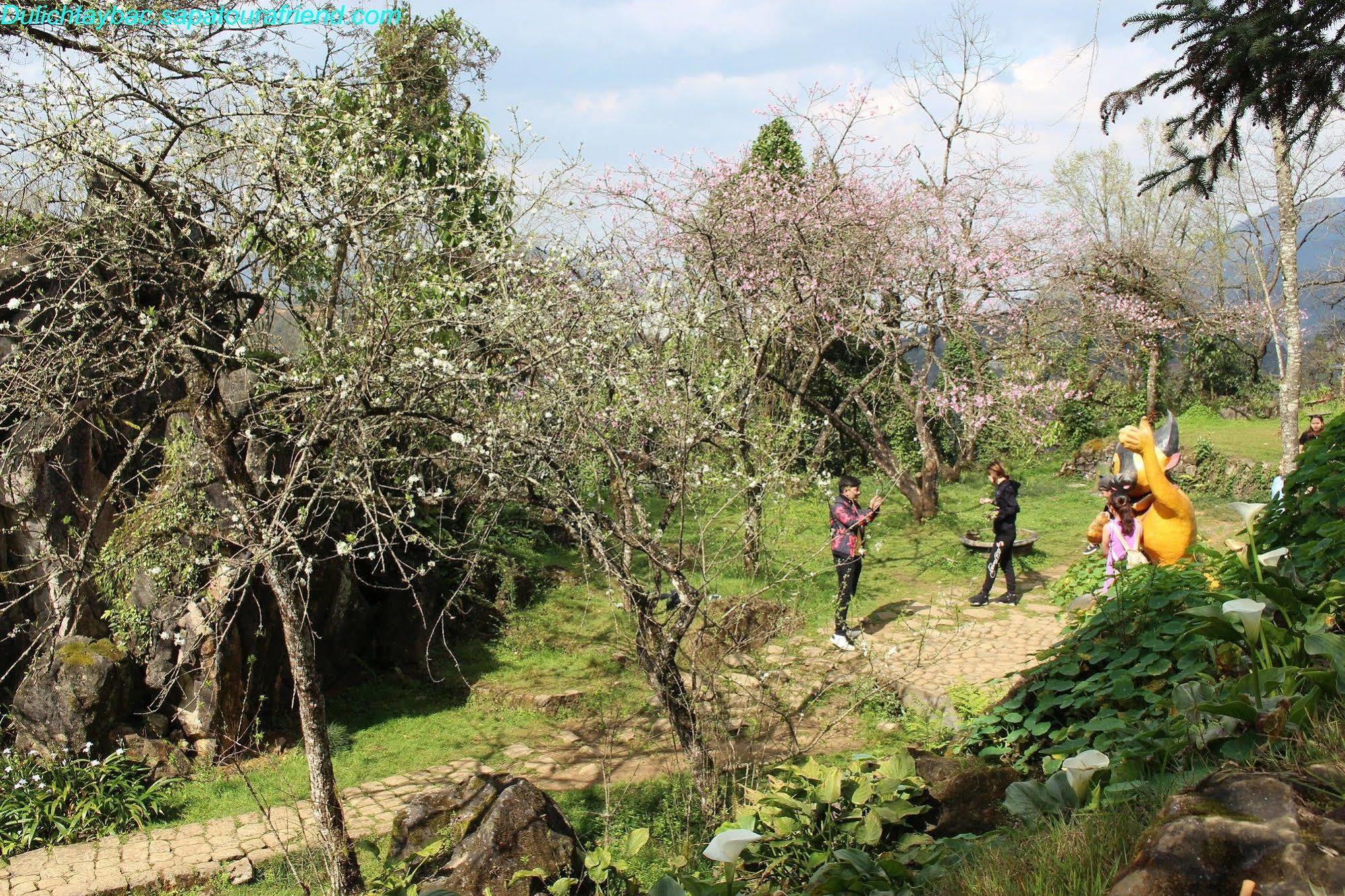 Sapa Sunflower Hotel Kültér fotó